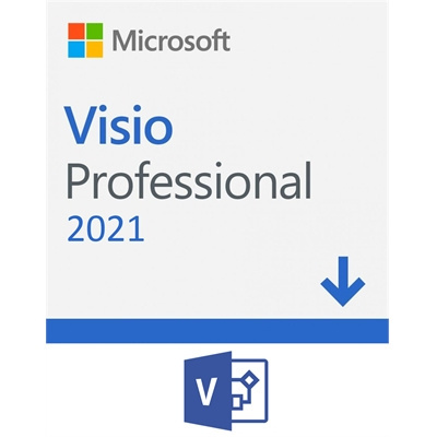 Microsoft Visio Professional 2021 1 PC Plurilingüe Windows, D87-07606 |  