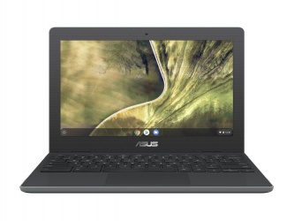 Laptop ASUS Chromebook C204EE-YS01-GR 11.6