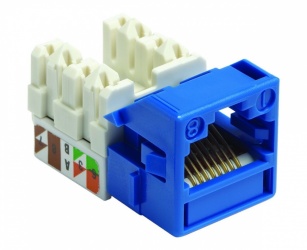 Commscope Conector Cat5e RJ-45 UTP, Azul 