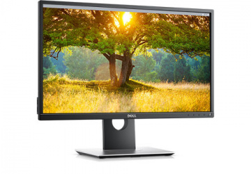 Monitor Dell P2417H IPS 24