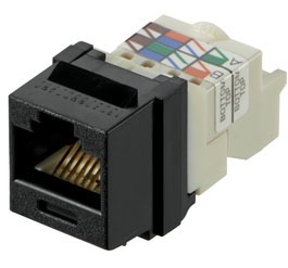 Panduit Jack de Red Cat6, RJ-45, Negro 