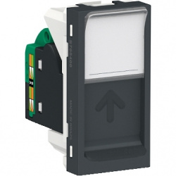 Schneider Electric Placa de Pared S70540094, 1 Puerto RJ-45, Grafito 