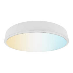 Tecnolite Lámpara LED Plafón para Sobreponer Cujam I, Interiores, Luz Blanca, 24W, 1000 Lúmenes, Blanco, para Casa 