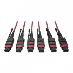 Tripp Lite by Eaton Cable Fibra Óptica Multimodo OM4 3x MTP Macho - 3x MTP Macho, 15 Metros, Magenta 