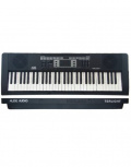 Alde Audio Teclado Digital TSRLIGHT, 61 Teclas, 300 Efectos, Negro