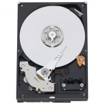 Disco Duro Interno Western Digital WD WD1600AVVS 3.5'', 160GB, SATA, 5400RPM