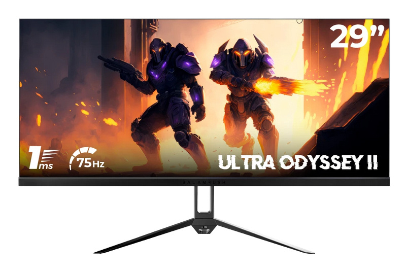 Monitor Balam Rush BR-938648 LCD 29", Quad HD, Ultra Wide, G-Sync/FreeSync, 75Hz, HDMI/DisplayPort, Negro 