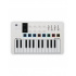 Arturia Teclado MIDI MiniLab 3, 25 Teclas, USB, Blanco  1