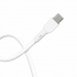 Brobotix Cable USB-C Macho - Lightning, 1 Metro, Blanco  3