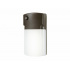 Cooper Lighting Lámpara LED para Pared WP1150LPC, Exteriores, Luz Blanca Frío, 13.6W, 1180 Lúmenes, Bronce  1