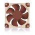 Ventilador Noctua NF-A8 PWM, 80mm, 450 - 2200RPM, Beige/Café  3