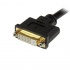 StarTech.com Cable Divisor para Terminales Wyse, DVI-I Macho - DVI-D y VGA Hembra, 20cm, Negro  3