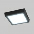 Tecnolite Lámpara LED Plafón para Sobreponer, Interiores, Luz de Día, 12W, 800 Lúmenes, Negro  2