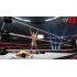 THQ WWE Smackdown vs Raw 2013, PS3  3