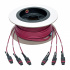 Tripp Lite by Eaton Cable Fibra Óptica Multimodo OM4 3x MTP Macho - 3x MTP Macho, 15 Metros, Magenta  7